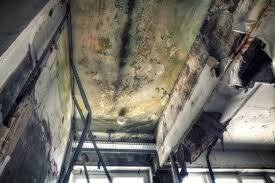 Best Comprehensive Air Testing for Mold Contaminants in West Milwaukee, WI